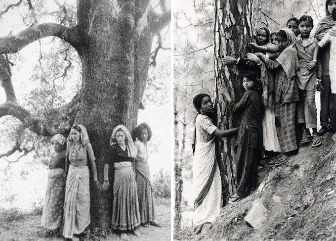 చిప్కో – మహిళా పర్యావరణ ఉద్యమం - Chipko movement 1973