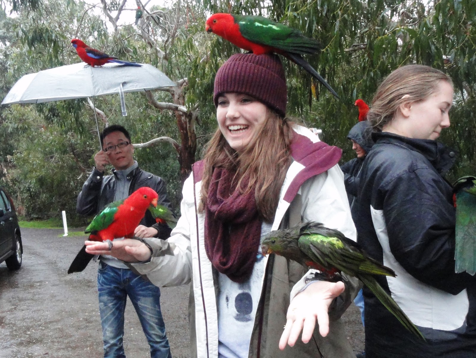 Didgeridoos and Don'ts of Australia