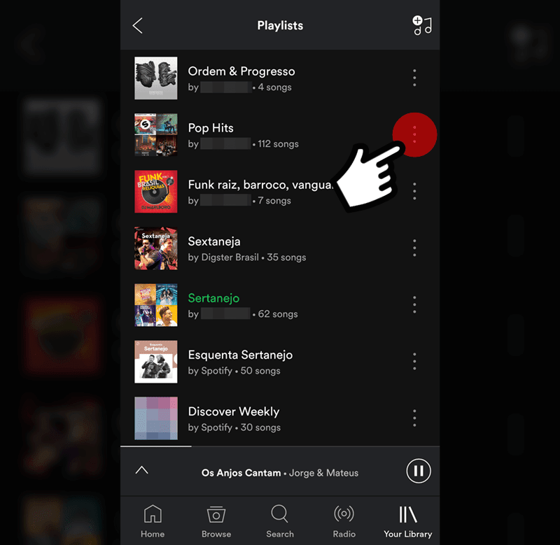 The playlist options menu has been displayed on your screen. 
