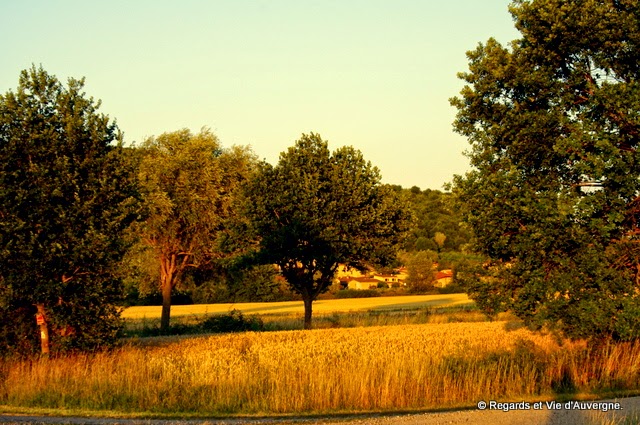 Paysage d'automne