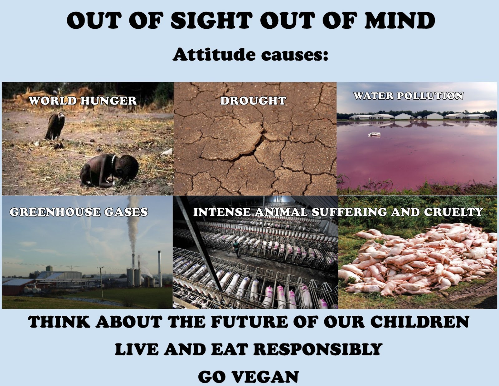 Joy of Vegan: ENVIRONMENTAL MEMES TO SHARE