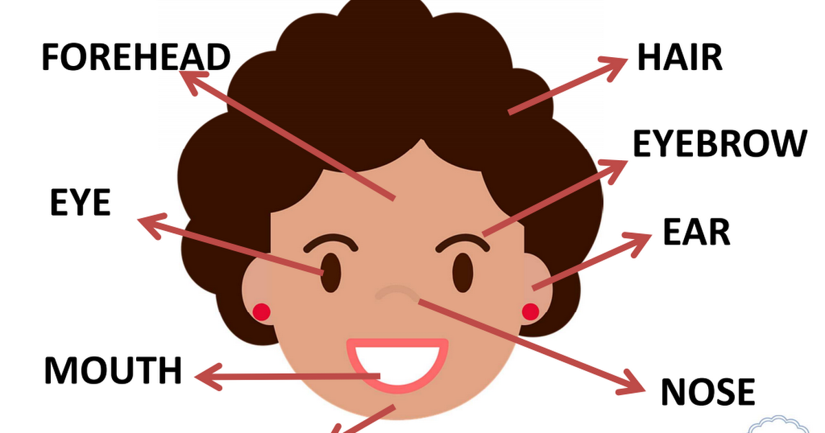 ILUSIÓN, CHISPAS Y CASCABELES INGLÉS FACE AND BODY