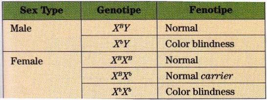 Color Blindness Hemophilia Brown Teeth Drosophila Melanogaster