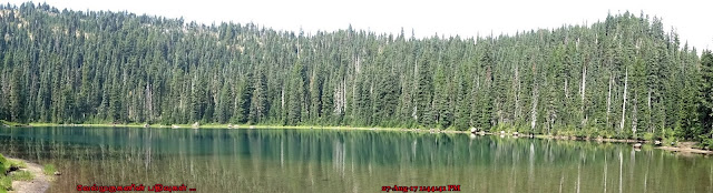 Northeast shore of Lake Wapiki, Indian Heaven