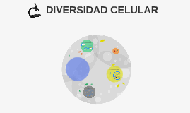 Diversidad celular
