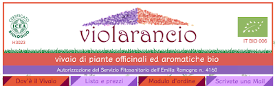 Al Vivaio Violarancio