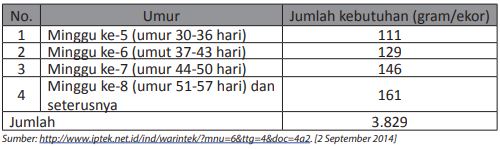 Teknik Budidaya Unggas Petelur