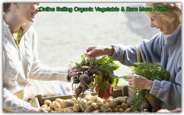 The Most Profitable Way Business Online Selling Organic Vegetable & Earn More Profit