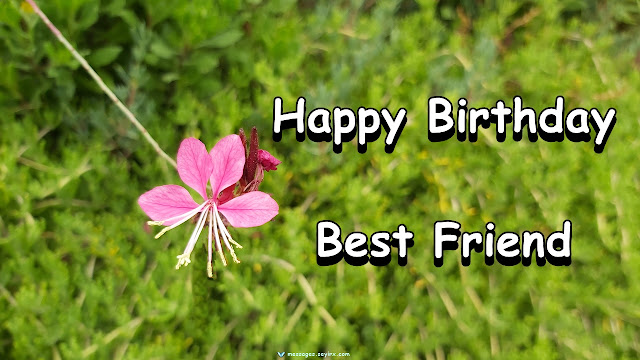 Happy Birthday Best Friend