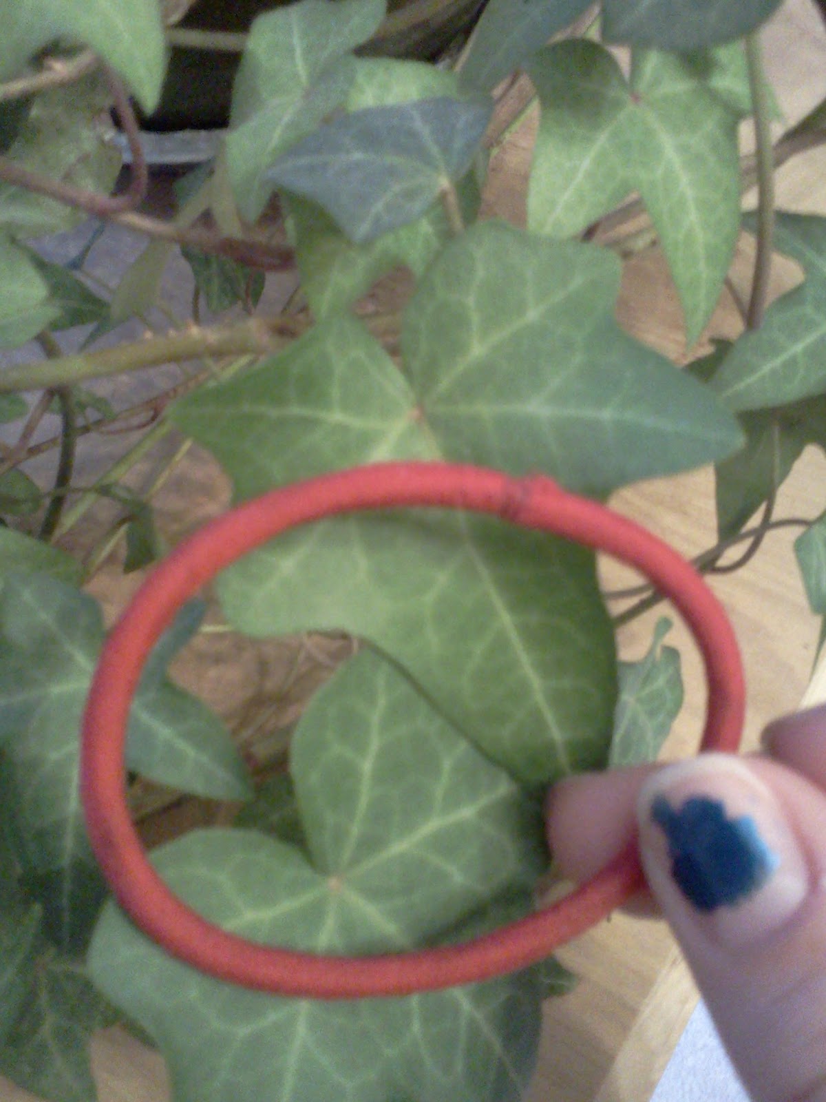 AP Bio Blog 2012 Cuticle layer of a plant