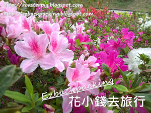  杜鵑是香港常見的春季花卉， 花朵色澤鮮艷，顏色多樣，有常見的紫紅色、白色、粉紅色、紅色等等。   雖然杜鵑在香港看起來平平無奇，不過杜鵑花科植物中，有一種名為香港杜鵑的植物。香港杜鵑是香港原生植物，是在香港於18世紀首次發現，現時主要分佈在香港郊野公園範圍。 杜鵑花在香港廣泛種...