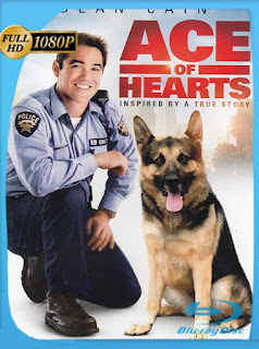 Ace, El Mejor Amigo de la Familia (Ace of Hearts) (2008) HD [1080p] Latino [GoogleDrive] SXGO