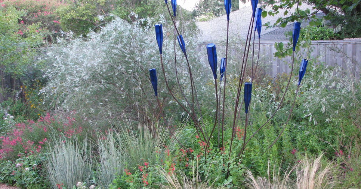Plano Prairie Garden White Flowers at Dusk
