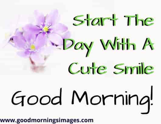 Good Morning shayari Free Download 2019 Good Morning shayari Free Download 2019