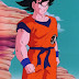 Goku Height - How Tall