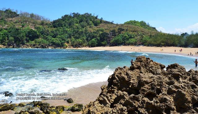 pantai pangi