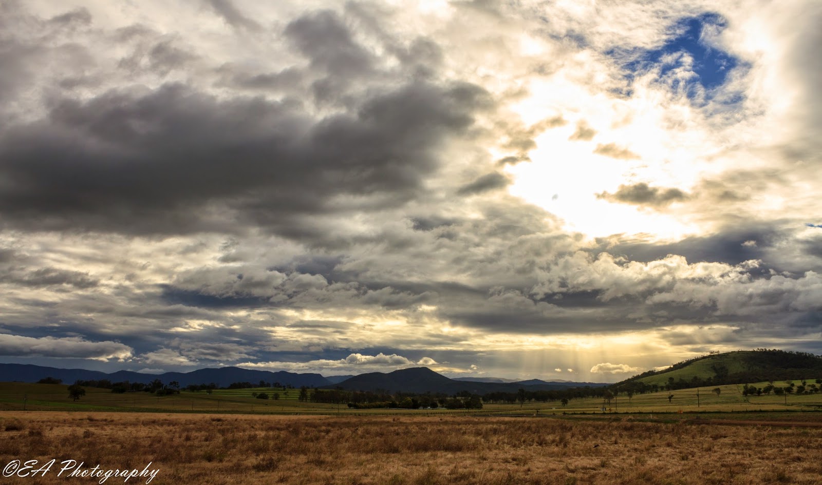 The Greatest of These is LOVE Sunflower Fields near Warwick, QLD