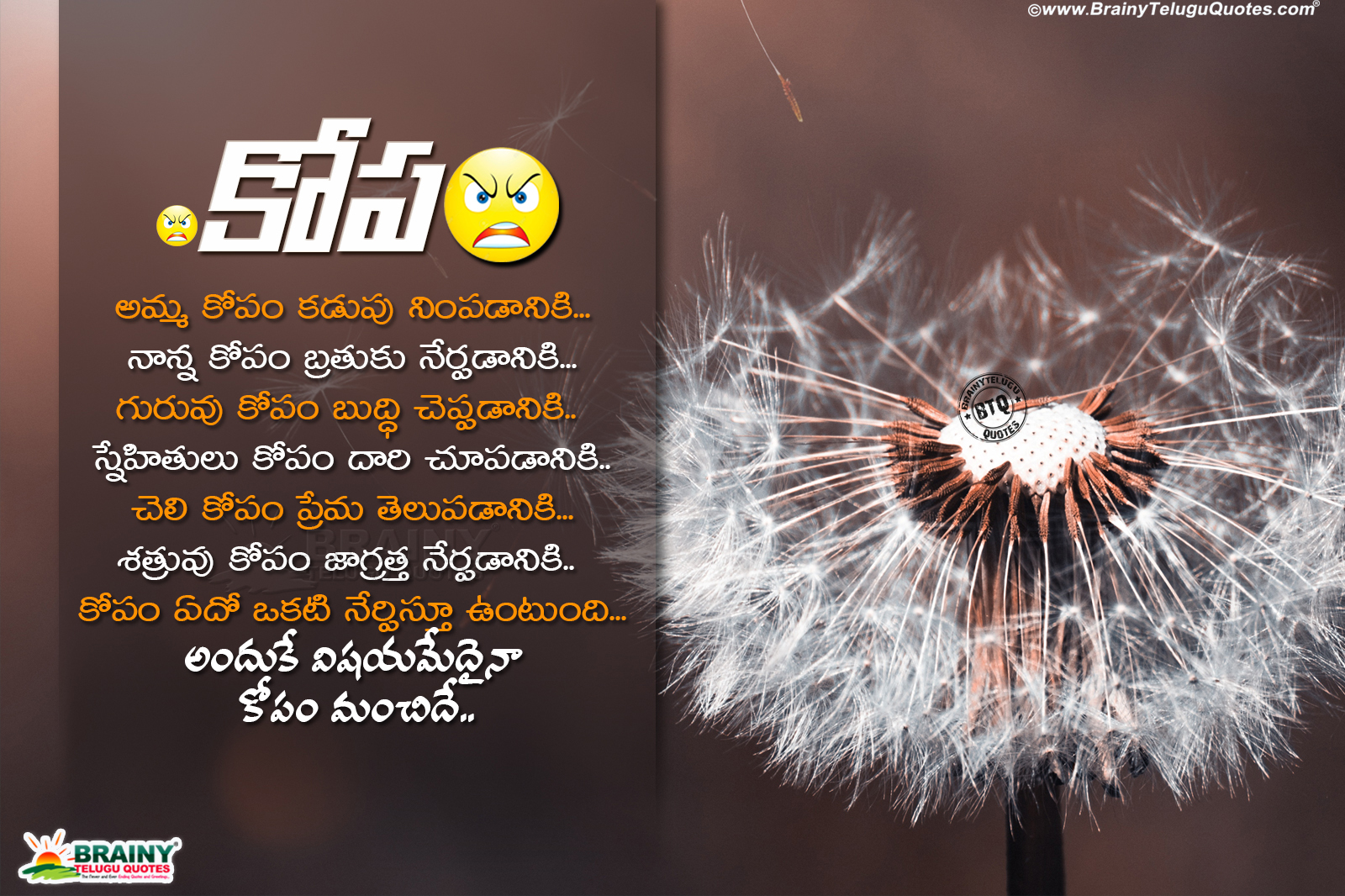 Top 3 Telugu Life Changing Quotes That Will Change Your Way of Living