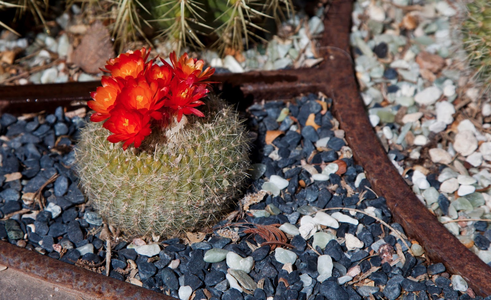 Walking Arizona A Small Fortune