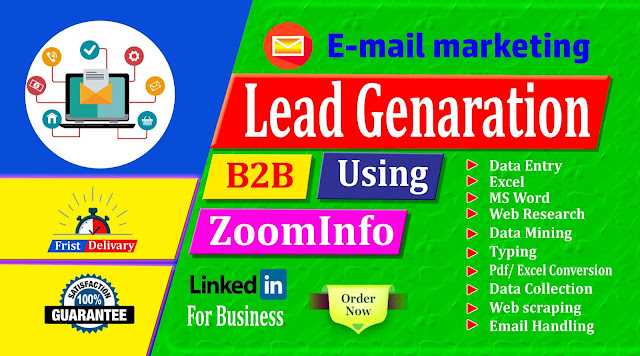 I will provide b2b targeted lead generation service