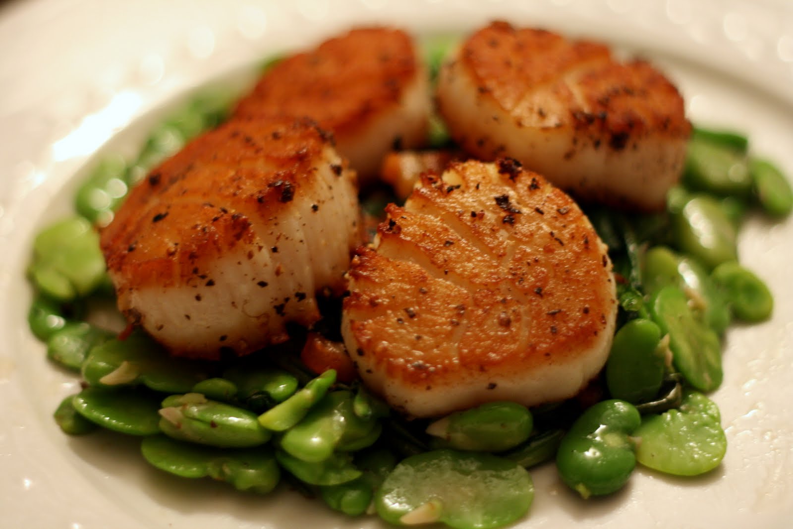 Scallops with Fava Beans, Dandelion Greens, Ramps, and Pancetta