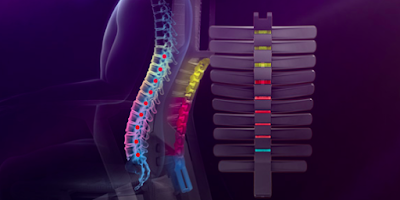 Bionic Spine Engineering - Powerfit Chair