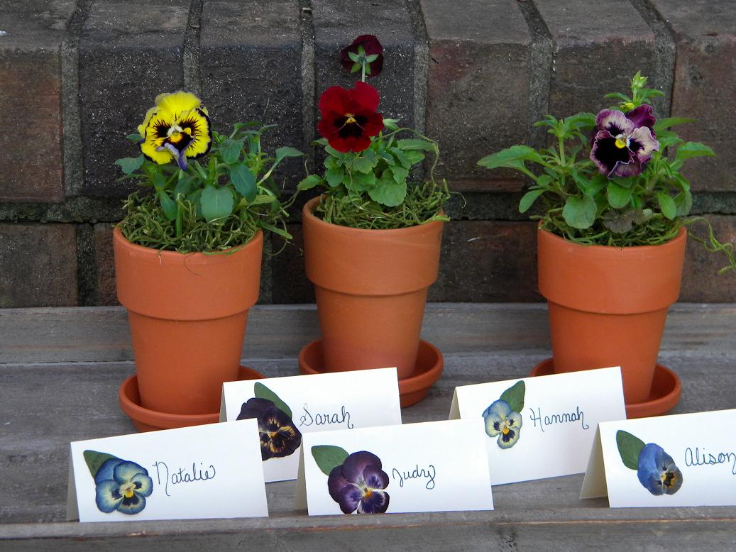 Wedding Flowers from Springwell DIY for Spring Weddings Pressed