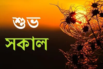 Bangla good morning images