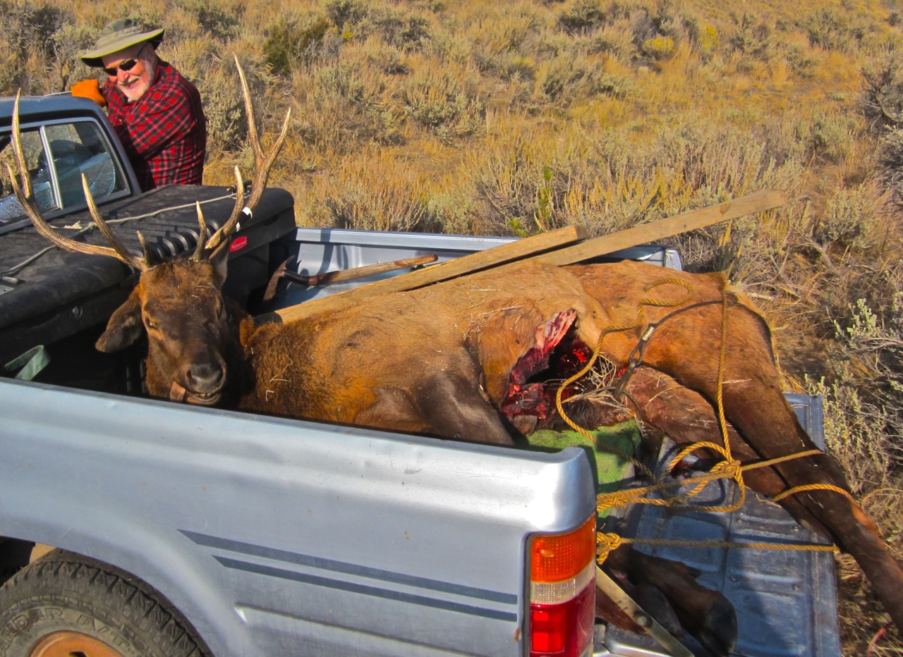 EcoRover Elk's in the Freezer, Let's go Hiking (and Partying!)