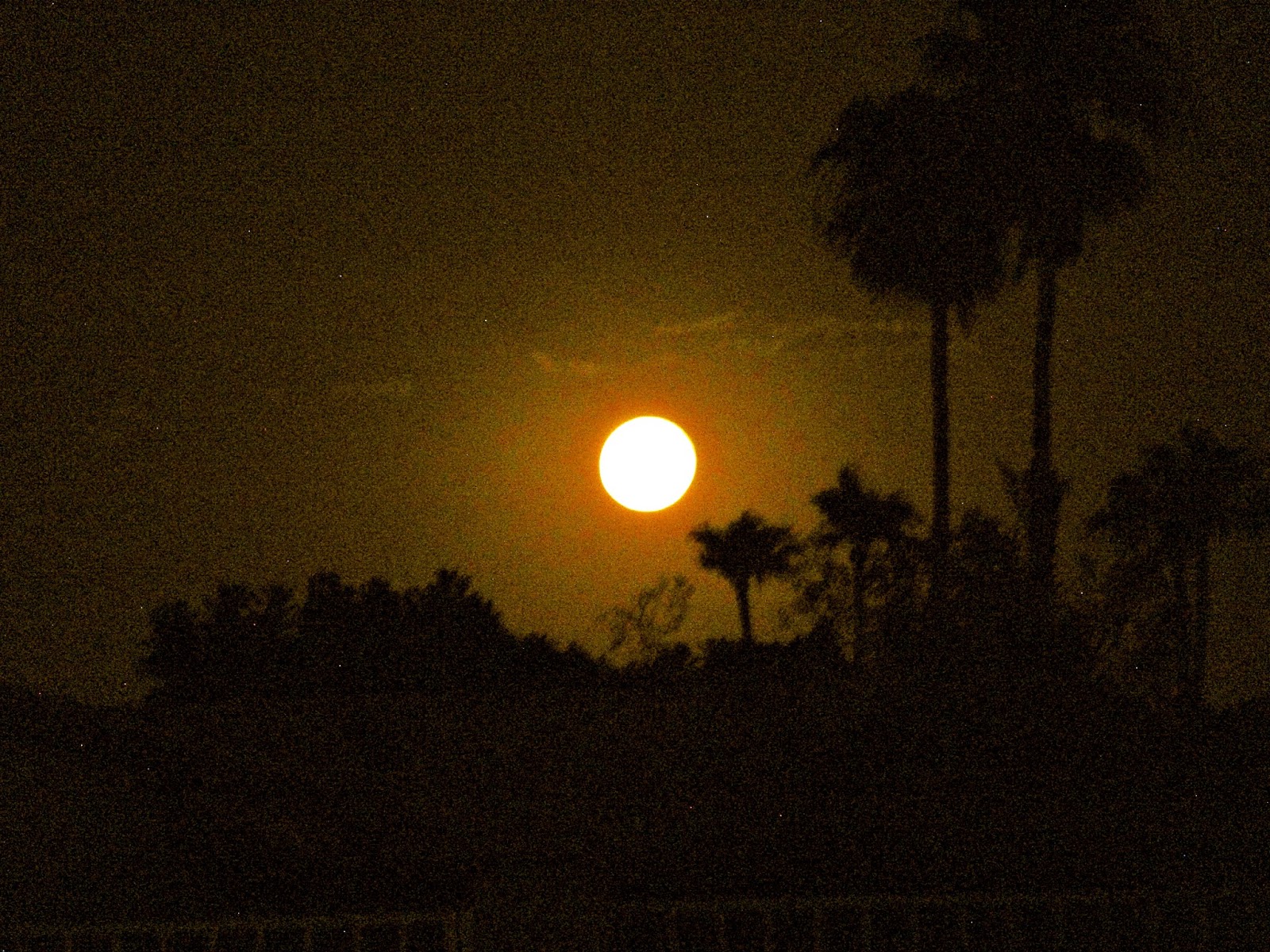 Shaman Ariella Moon August Full Moon