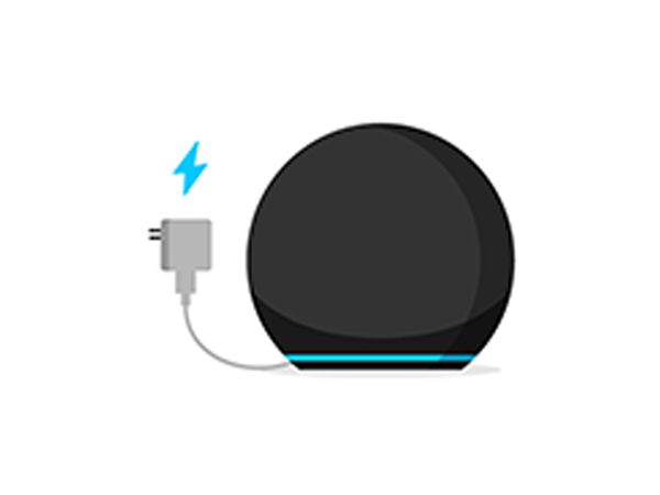 Plug in the Echo Dot