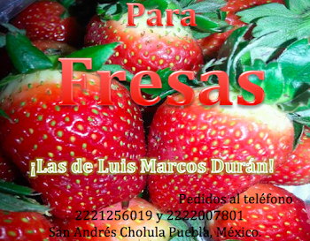 Ricas Fresas