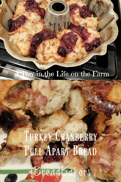 Turkey Cranberry and Cheese Pull Apart Bread pin