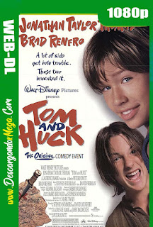 Las aventuras de Tom y Huck (1995)  