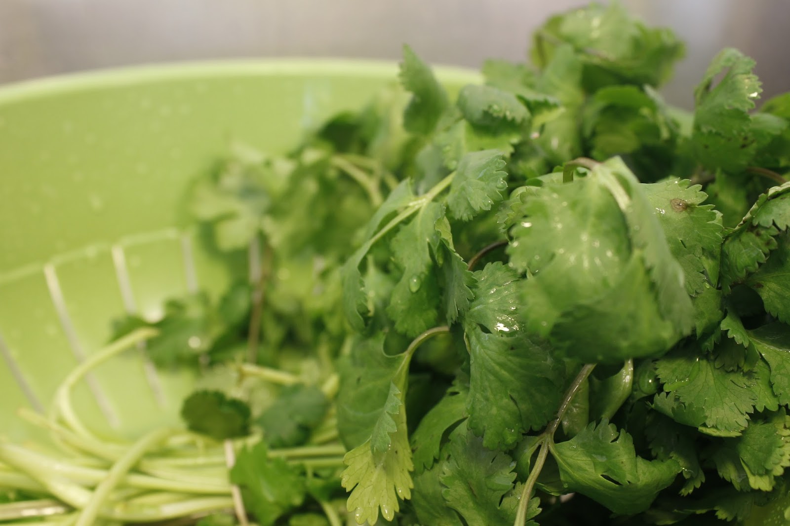 Simply Natural and Fabulous Keep Your Cilantro Fresh for Longer