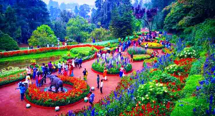 Botanical Garden Ooty tourist places