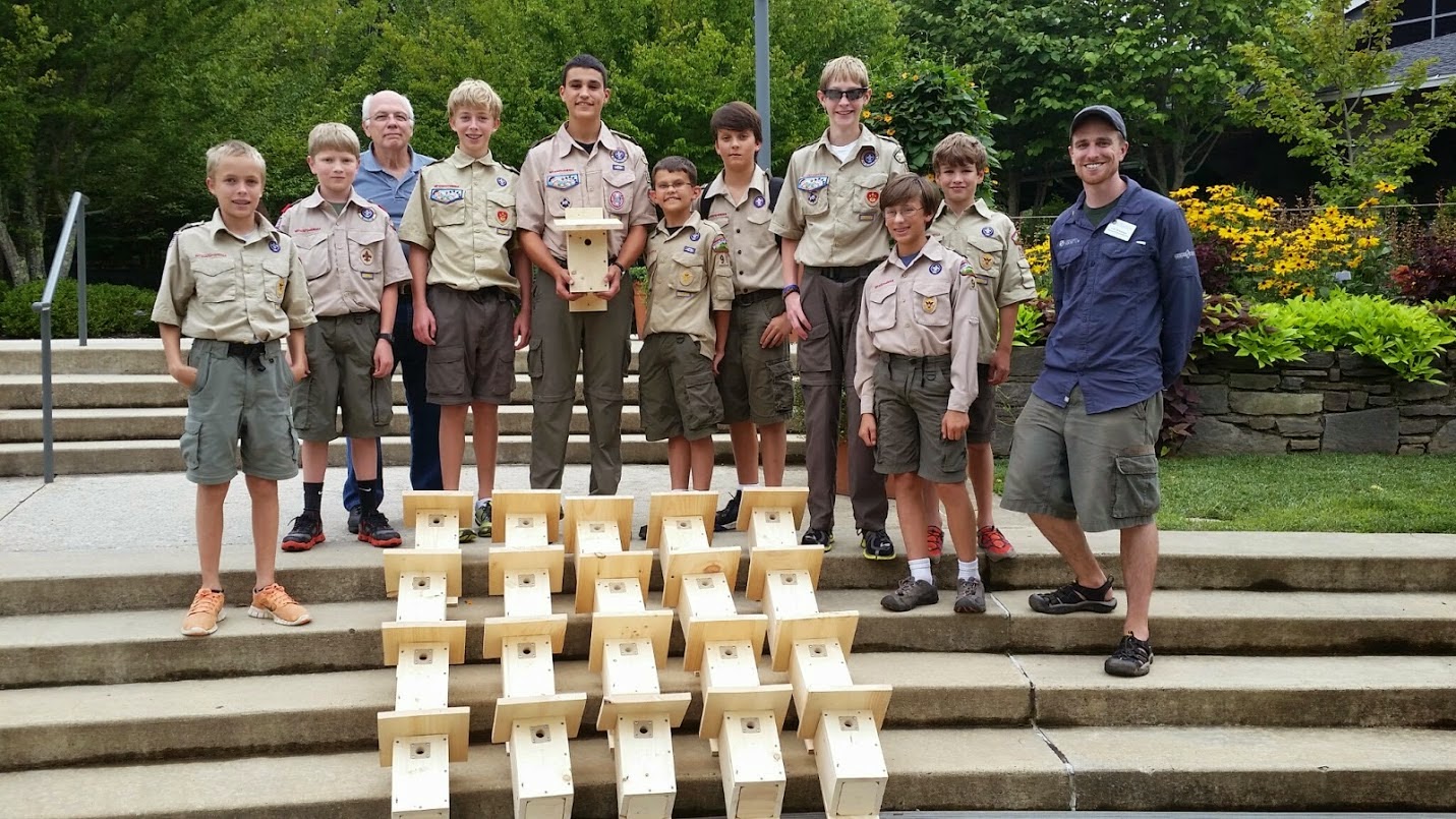 The BrownHeaded Nuthatch Asheville, NC Boy Scouts in Troop 91 Build