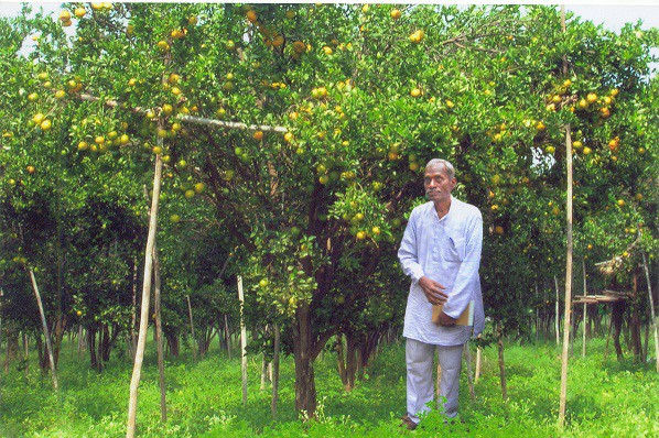 Organic Farming - KHETI-BARI Organic Farming - KHETI-BARI