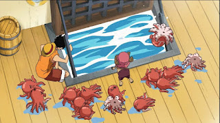ワンピースアニメ | 麦わらの一味 海賊船 | サウザンドサニー号 | 生簀 The Fish cage | ONE PIECE | ONE PIECE THOUSAND SUNNY | Hello Anime !