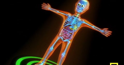 Amazing Sense: INSIDE Human