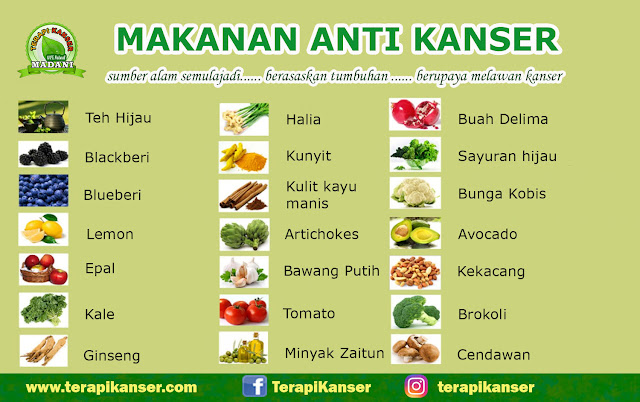 Makanan Anti Kanser ~ Terapi Kanser