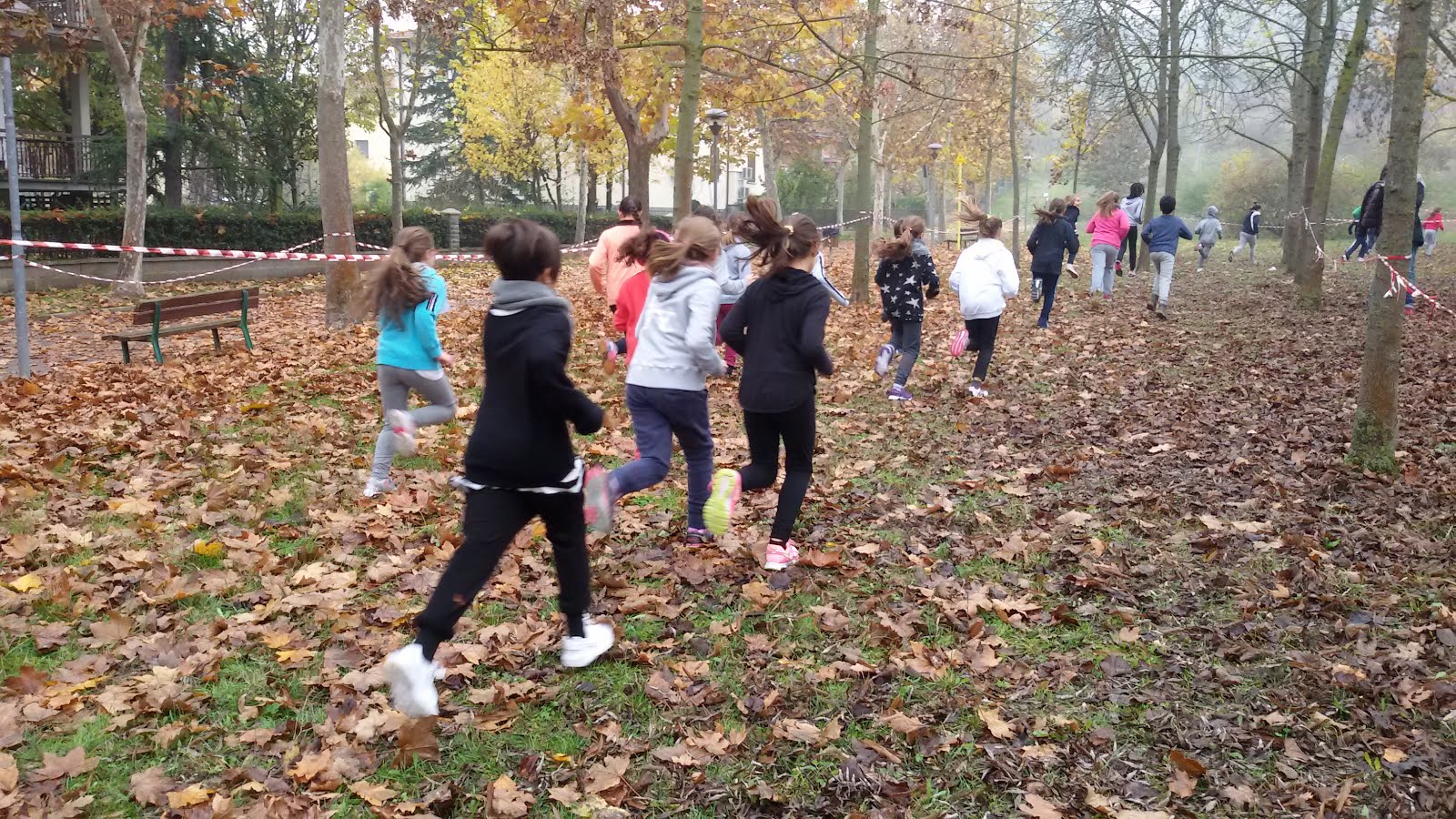 MagnificiAmici La gara di corsa campestre MagnificiAmici La gara di corsa campestre