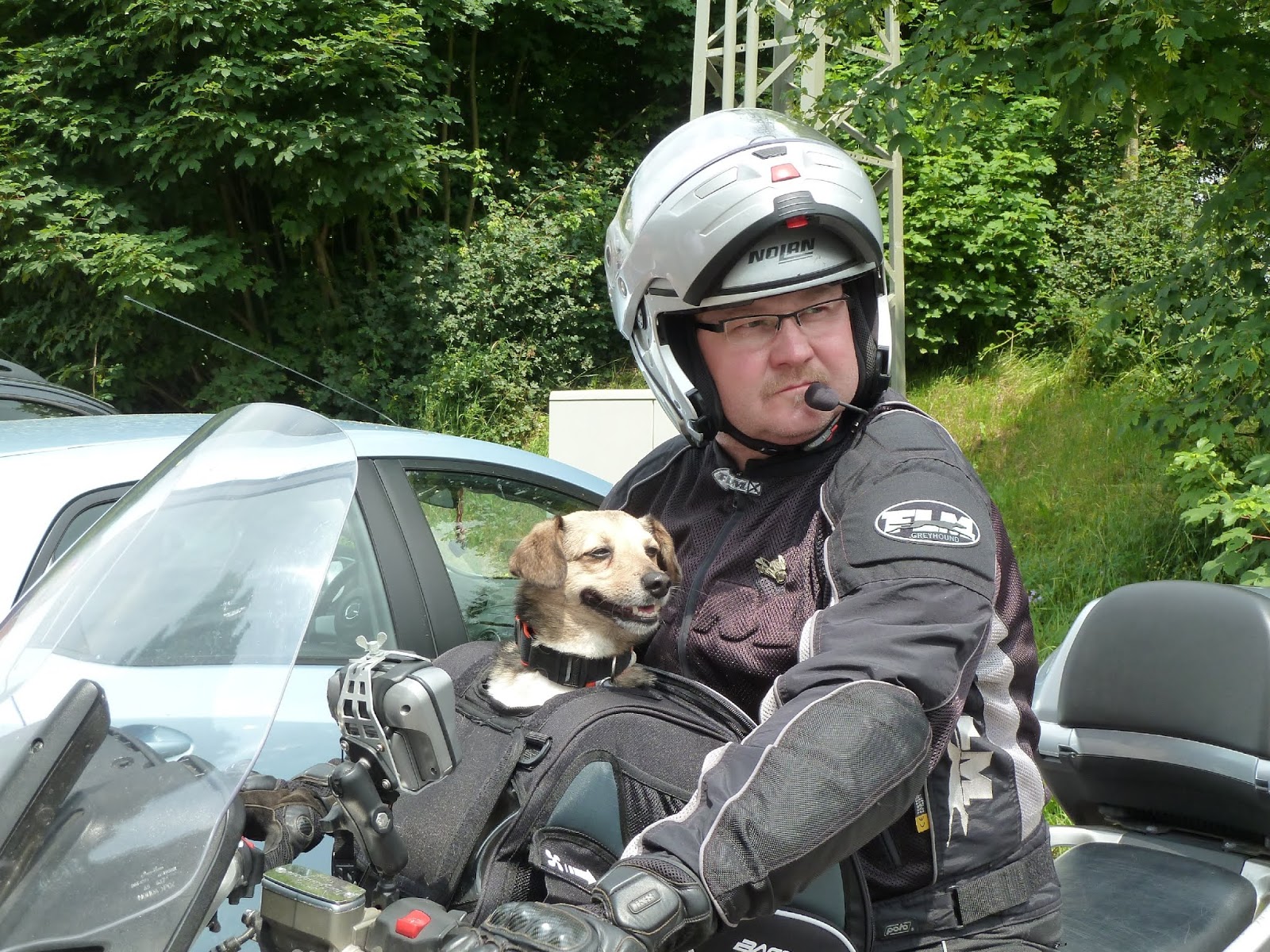 He, who rides with the dogs… MotorradTourenfahrer.de
