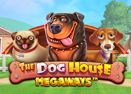 Dog house megaways догхаус