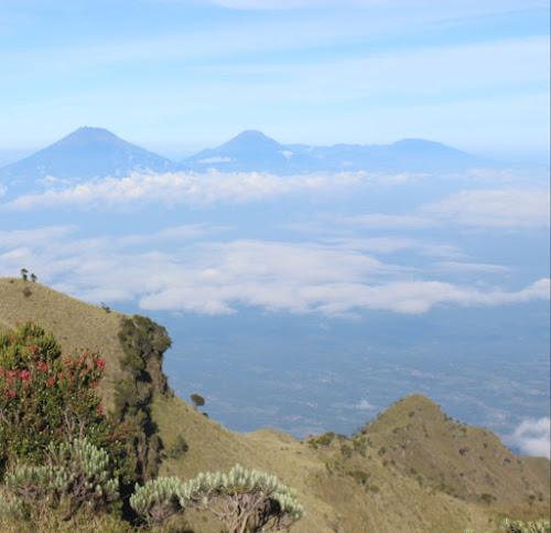 Kangen dari Merbabu