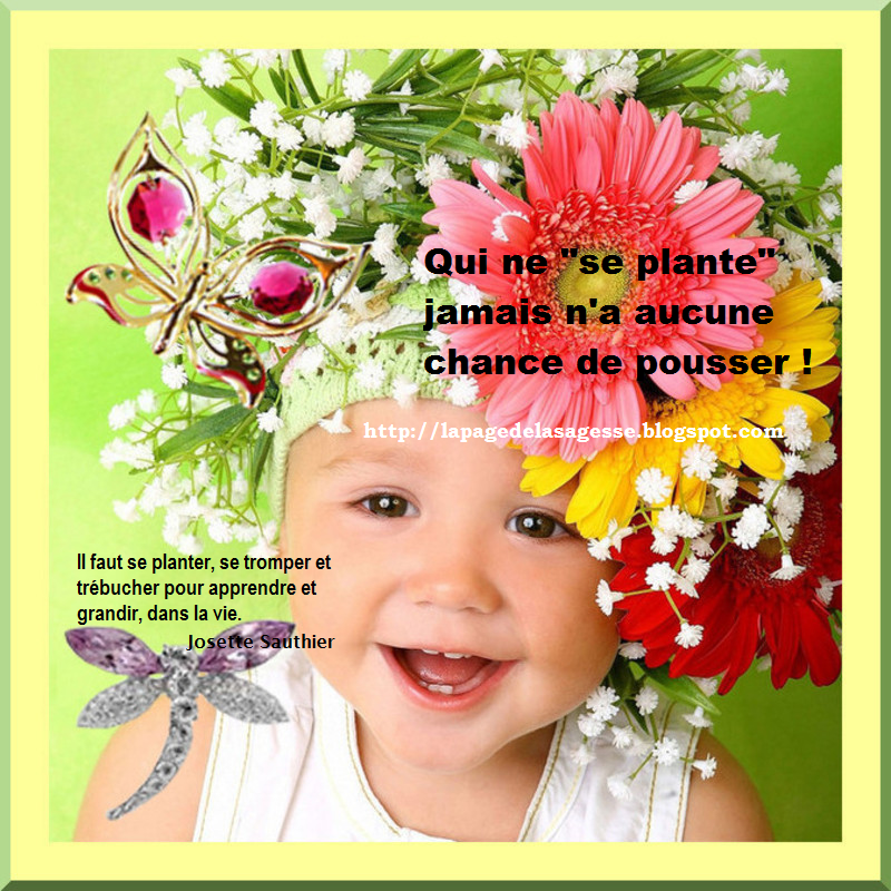 La Page de la Sagesse Il faut "se planter" pour avancer