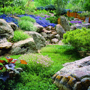 Home Designs: Amazing Rock Garden Designs For Your Home