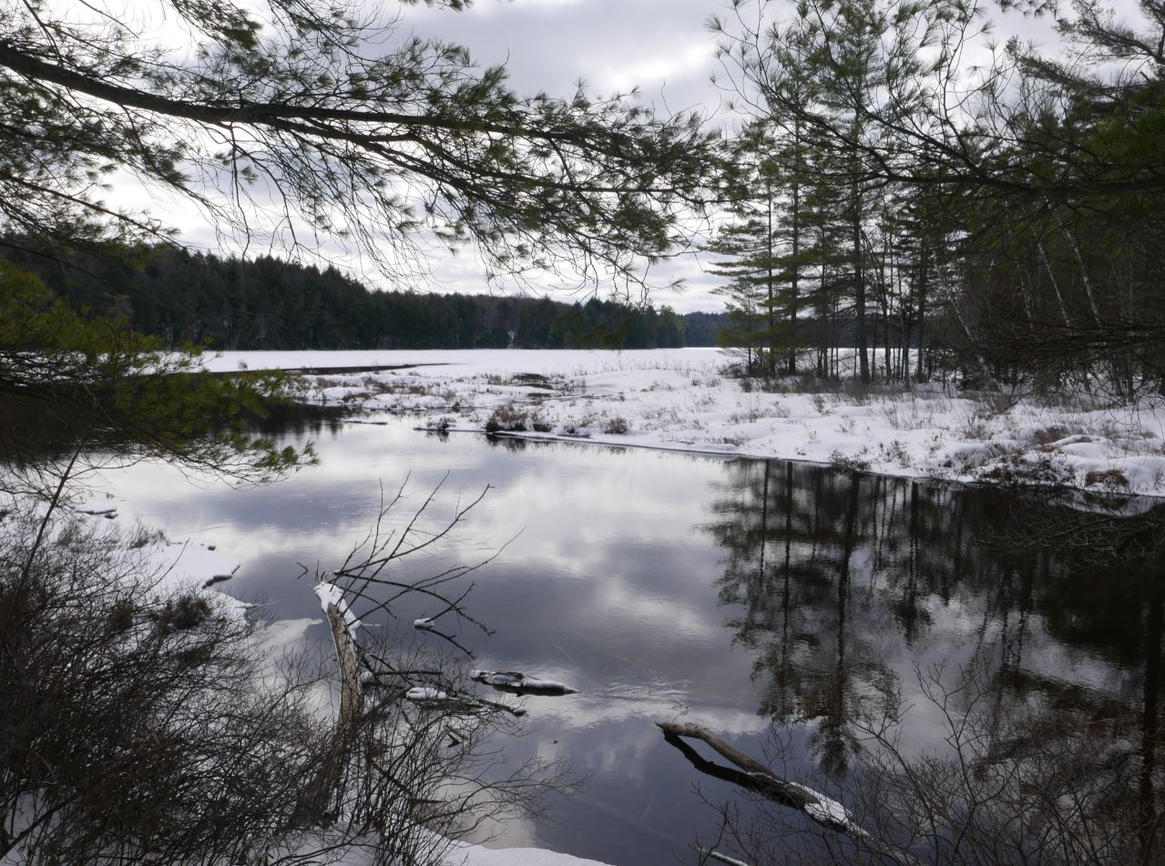 Adirondack Hiking The Floodwood Loop XCSkiing near Saranac Lake