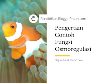 Konsep dan fungsi osmoregulasi