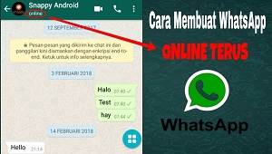 Cara Membuat Status WhatsApp Selalu Online